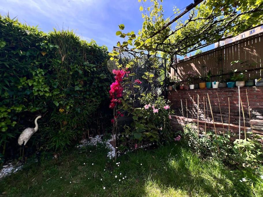 Apartamento La Casa Azul